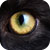 :iconxhasor: