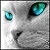 :iconxhellokimmi: