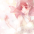 :iconxhikarihime: