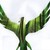 :iconxhion02: