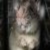 :iconxhy-exod: