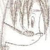 :iconxian-moriarty: