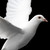 :iconxianbataar: