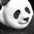 :iconxianjian:
