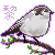 :iconxiao-ting: