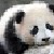 :iconxiaothepanda: