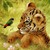 :iconxiaotiger: