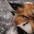 :iconxiaoxiao222: