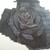 :iconxiilch:
