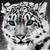 :iconxilverink: