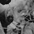 :iconxim-ljung:
