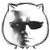 :iconxin958: