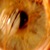 :iconxinnervisionx: