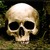 :iconxinovert: