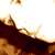 :iconxinstride: