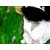 :iconxinterroristxmoox:
