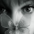 :iconxinyuan-xi: