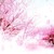:iconxinyuewang: