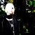 :iconxion-x-14: