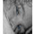 :iconxionixa: