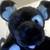 :iconxiscorr: