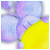 :iconxjeniflowerx: