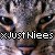 :iconxjustniees: