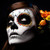 :iconxkamelot: