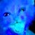 :iconxkatastroficx: