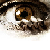 :iconxkc13x: