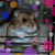 :iconxkhayax: