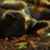 :iconxkillingxlightsx: