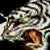 :iconxkindred-nightx: