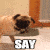 :iconxkittykaitox: