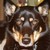 :iconxkodachrome: