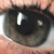 :iconxlade666: