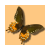 :iconxlife-is-hardx: