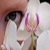 :iconxlizzy1989x: