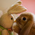 :iconxlollipopxluxuryx:
