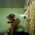 :iconxlostandnowfound-bjx: