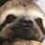 :iconxloth: