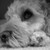 :iconxlunaticphotographyx: