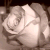 :iconxlyricdx3: