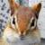 :iconxmagicdance:
