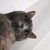 :iconxmarijke:
