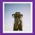 :iconxmasgirl12: