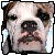 :iconxmemorylane:
