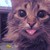 XMerliathehedgehogX :iconxmerliathehedgehogx: