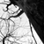 :iconxmidnightshow: