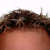 :iconxmimicx: